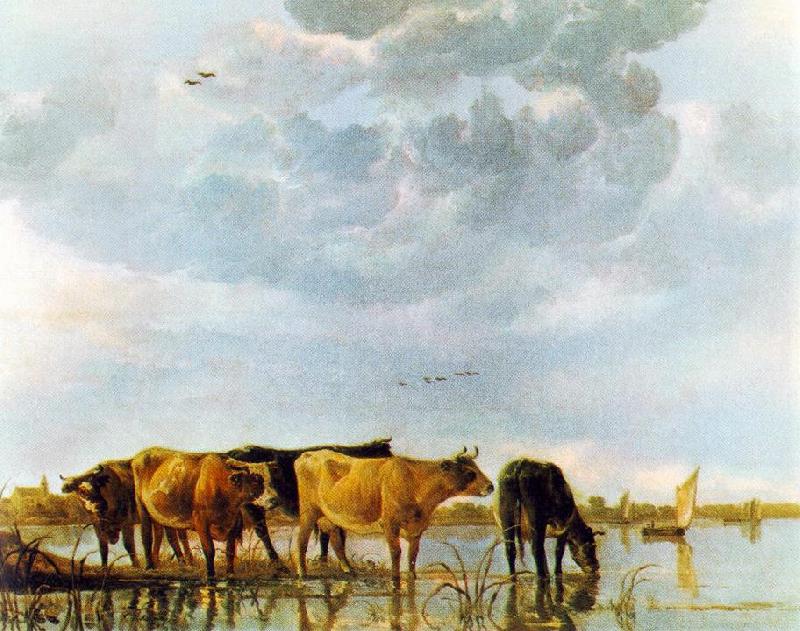 CUYP, Aelbert Cows in the Water Sweden oil painting art